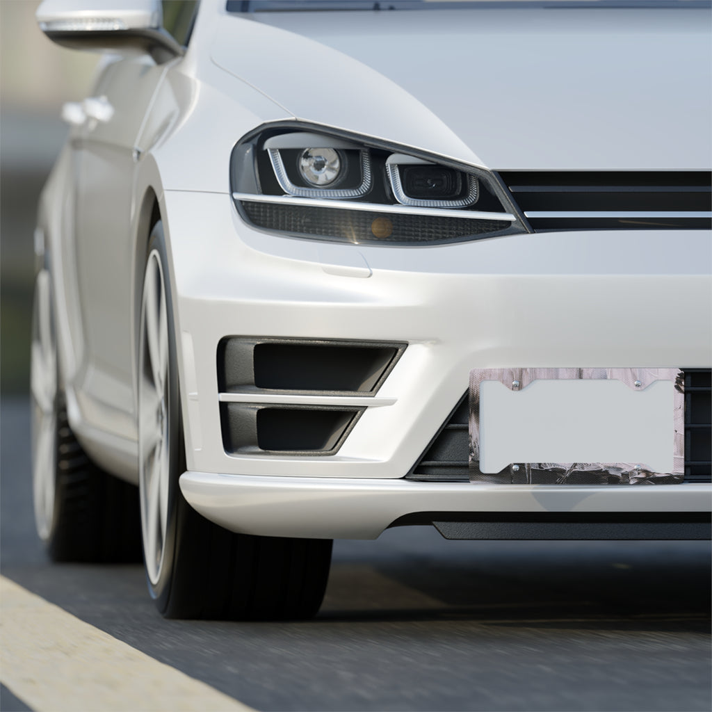 Stainless Metal License Plate Frame — Sleek Brushed Chrome Car Trim