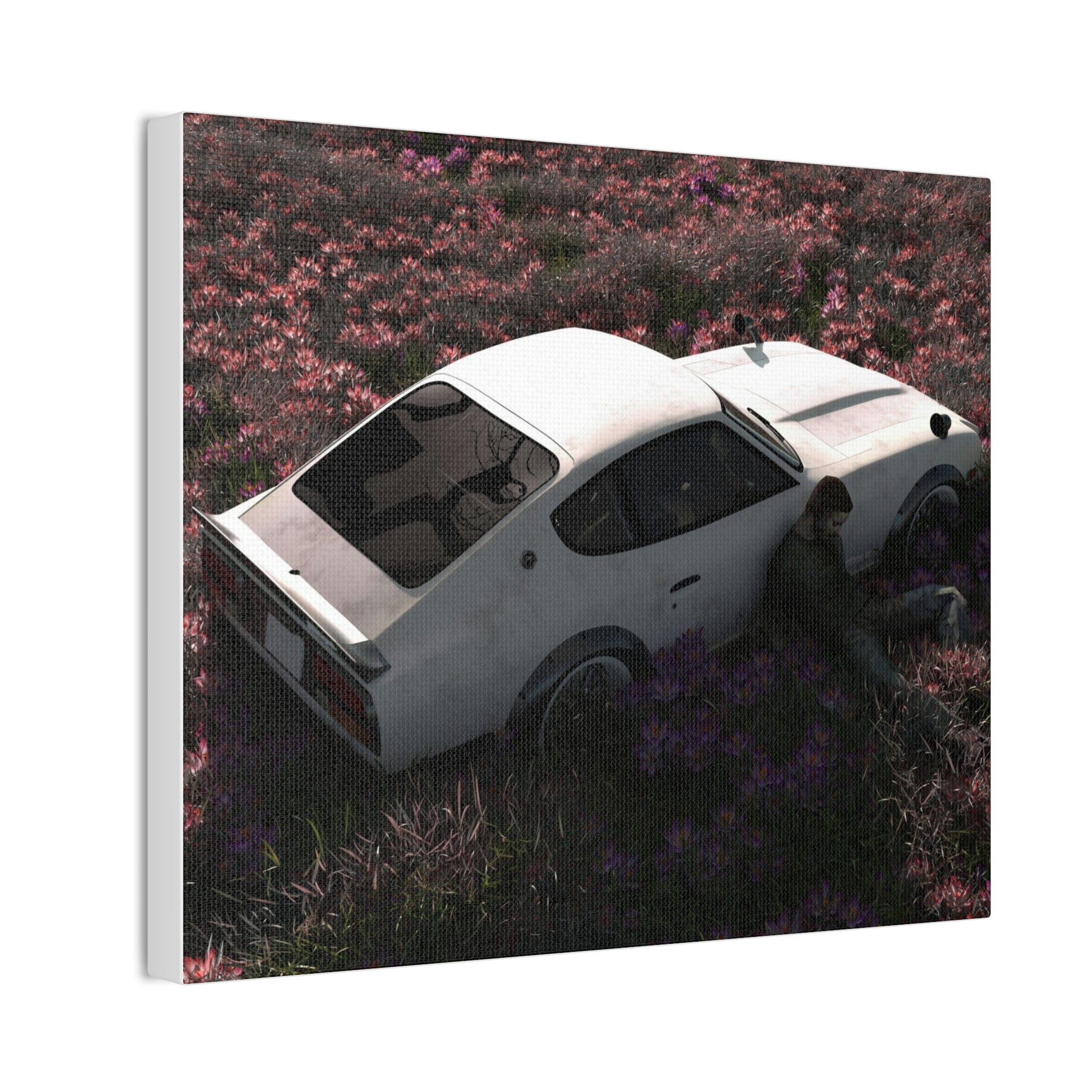 Vintage White Datsun in Wildflower Field Canvas