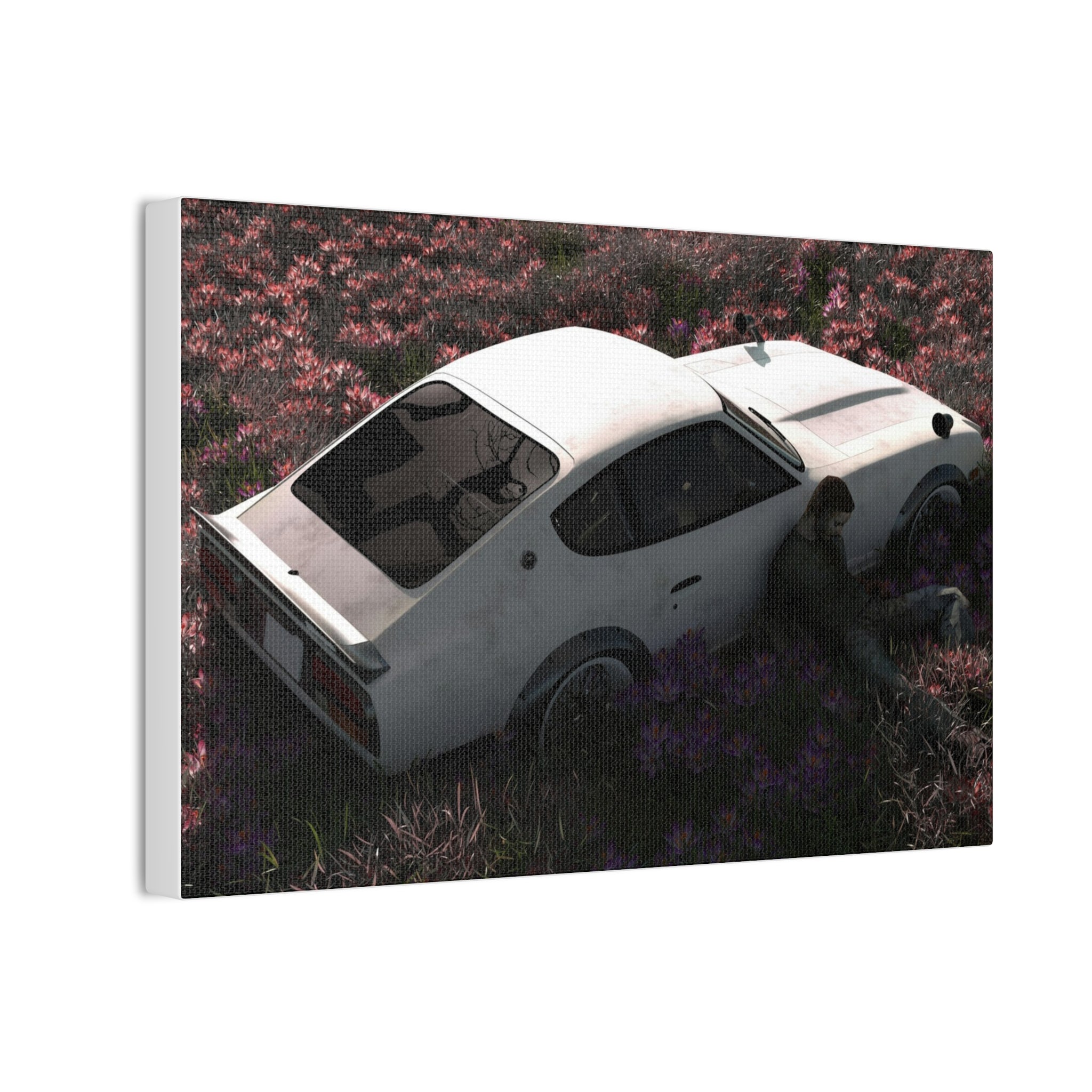 Vintage White Datsun in Wildflower Field Canvas