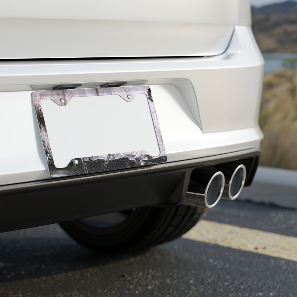 Stainless Metal License Plate Frame — Sleek Brushed Chrome Car Trim